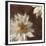 Royal Clematis I-Janel Pahl-Framed Giclee Print