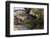 Royal Coast National Park near Sydney-Ryszard Stelmachowicz-Framed Photographic Print