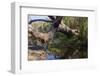 Royal Coast National Park near Sydney-Ryszard Stelmachowicz-Framed Photographic Print