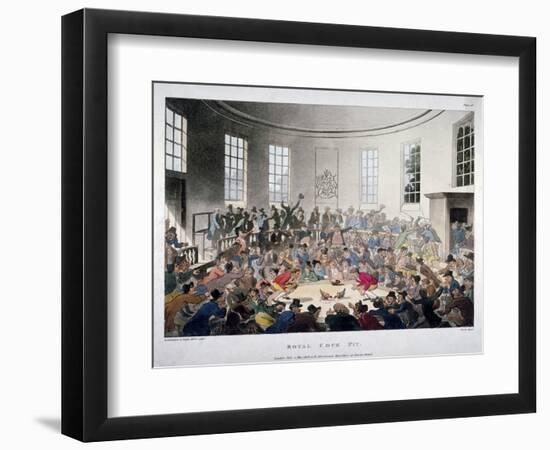 Royal Cock Pit, 1808-Augustus Charles Pugin-Framed Premium Giclee Print