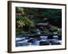 Royal Creek, OR-Frank Staub-Framed Photographic Print