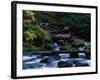 Royal Creek, OR-Frank Staub-Framed Photographic Print