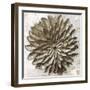 Royal Dahlia-Sasha-Framed Giclee Print