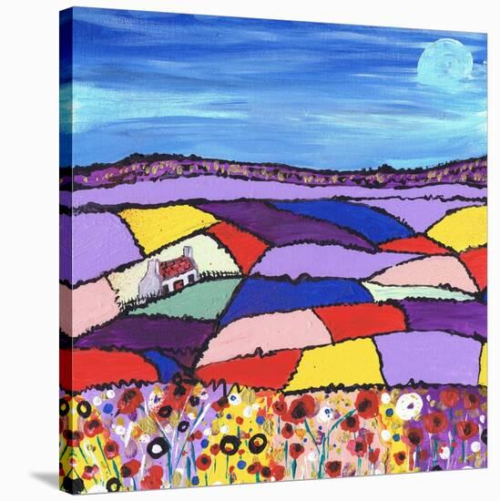 Royal Deeside Cottage-Caroline Duncan-Stretched Canvas