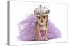 Royal Dog With Crown Isolated-vitalytitov-Stretched Canvas