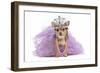 Royal Dog With Crown Isolated-vitalytitov-Framed Photographic Print