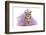 Royal Dog With Crown Isolated-vitalytitov-Framed Photographic Print