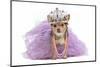Royal Dog With Crown Isolated-vitalytitov-Mounted Photographic Print