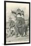 Royal Elephant with Howdah, India-null-Framed Premium Giclee Print