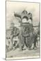 Royal Elephant with Howdah, India-null-Mounted Art Print