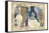 Royal Elephant-Chariklia Zarris-Framed Stretched Canvas