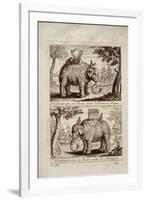 Royal Elephants, from 'Voyage Du Siam Des Peres Jesuites' by Guy Tachard, 1688-null-Framed Giclee Print