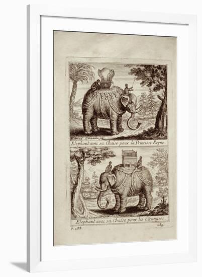 Royal Elephants, from 'Voyage Du Siam Des Peres Jesuites' by Guy Tachard, 1688-null-Framed Giclee Print