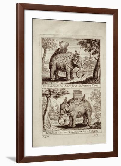 Royal Elephants, from 'Voyage Du Siam Des Peres Jesuites' by Guy Tachard, 1688-null-Framed Giclee Print
