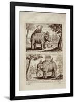 Royal Elephants, from 'Voyage Du Siam Des Peres Jesuites' by Guy Tachard, 1688-null-Framed Giclee Print