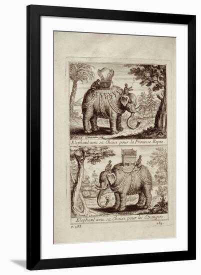 Royal Elephants, from 'Voyage Du Siam Des Peres Jesuites' by Guy Tachard, 1688-null-Framed Giclee Print