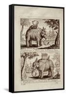 Royal Elephants, from 'Voyage Du Siam Des Peres Jesuites' by Guy Tachard, 1688-null-Framed Stretched Canvas