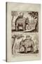 Royal Elephants, from 'Voyage Du Siam Des Peres Jesuites' by Guy Tachard, 1688-null-Stretched Canvas