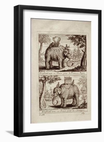 Royal Elephants, from 'Voyage Du Siam Des Peres Jesuites' by Guy Tachard, 1688-null-Framed Giclee Print