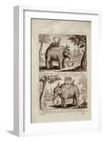 Royal Elephants, from 'Voyage Du Siam Des Peres Jesuites' by Guy Tachard, 1688-null-Framed Giclee Print