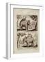 Royal Elephants, from 'Voyage Du Siam Des Peres Jesuites' by Guy Tachard, 1688-null-Framed Giclee Print