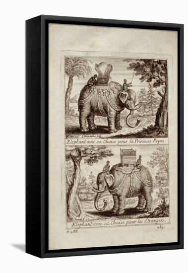 Royal Elephants, from 'Voyage Du Siam Des Peres Jesuites' by Guy Tachard, 1688-null-Framed Stretched Canvas