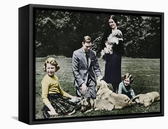 Royal family as a happy group of dog lovers, 1937-Michael Chance-Framed Stretched Canvas