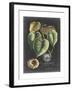 Royal Foliage I-Vision Studio-Framed Art Print