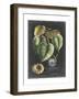 Royal Foliage I-Vision Studio-Framed Art Print