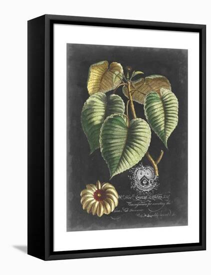 Royal Foliage I-Vision Studio-Framed Stretched Canvas