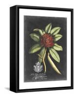 Royal Foliage III-Vision Studio-Framed Stretched Canvas