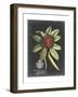 Royal Foliage III-Vision Studio-Framed Art Print