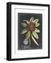 Royal Foliage III-Vision Studio-Framed Art Print