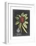 Royal Foliage III-Vision Studio-Framed Art Print