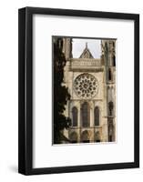 Royal gate, Chartres cathedral, Chartres, Eure-et-Loir, France&#10;-Godong-Framed Photographic Print