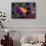 Royal Gramma or Fairy Basslet. (Gramma Loreto) Caribbean-Reinhard Dirscherl-Framed Stretched Canvas displayed on a wall