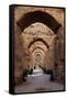 Royal Granaries of Moulay Ismail, Meknes, Morocco, Africa-Kymri Wilt-Framed Stretched Canvas
