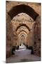 Royal Granaries of Moulay Ismail, Meknes, Morocco, Africa-Kymri Wilt-Mounted Photographic Print