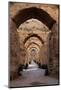 Royal Granaries of Moulay Ismail, Meknes, Morocco, Africa-Kymri Wilt-Mounted Photographic Print