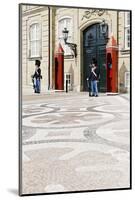 Royal Guard, Copenhagen, Denmark, Scandinavia-Axel Schmies-Mounted Photographic Print