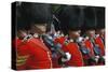 Royal Guard, London, England, United Kingdom of Great Britain-null-Stretched Canvas