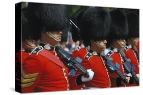 Royal Guard, London, England, United Kingdom of Great Britain-null-Stretched Canvas