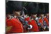 Royal Guard, London, England, United Kingdom of Great Britain-null-Mounted Art Print