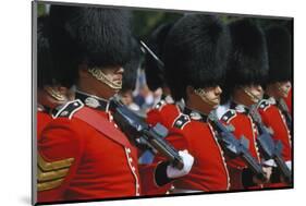 Royal Guard, London, England, United Kingdom of Great Britain-null-Mounted Art Print