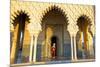 Royal Guard on Duty at Mausoleum of Mohammed V, Rabat, Morocco, North Africa, Africa-Neil Farrin-Mounted Photographic Print