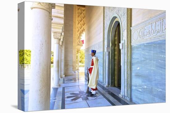 Royal Guard on Duty at Mausoleum of Mohammed V, Rabat, Morocco, North Africa, Africa-Neil Farrin-Stretched Canvas