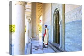 Royal Guard on Duty at Mausoleum of Mohammed V, Rabat, Morocco, North Africa, Africa-Neil Farrin-Stretched Canvas