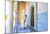 Royal Guard on Duty at Mausoleum of Mohammed V, Rabat, Morocco, North Africa, Africa-Neil Farrin-Mounted Photographic Print