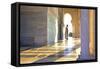 Royal Guard on Duty at Mausoleum of Mohammed V, Rabat, Morocco, North Africa, Africa-Neil Farrin-Framed Stretched Canvas