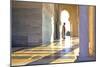 Royal Guard on Duty at Mausoleum of Mohammed V, Rabat, Morocco, North Africa, Africa-Neil Farrin-Mounted Photographic Print